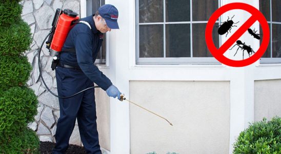 Battalgazi Bit İlaçlama böcek ilaçlama ve haşere kontrolü — ilaclama-tr.com